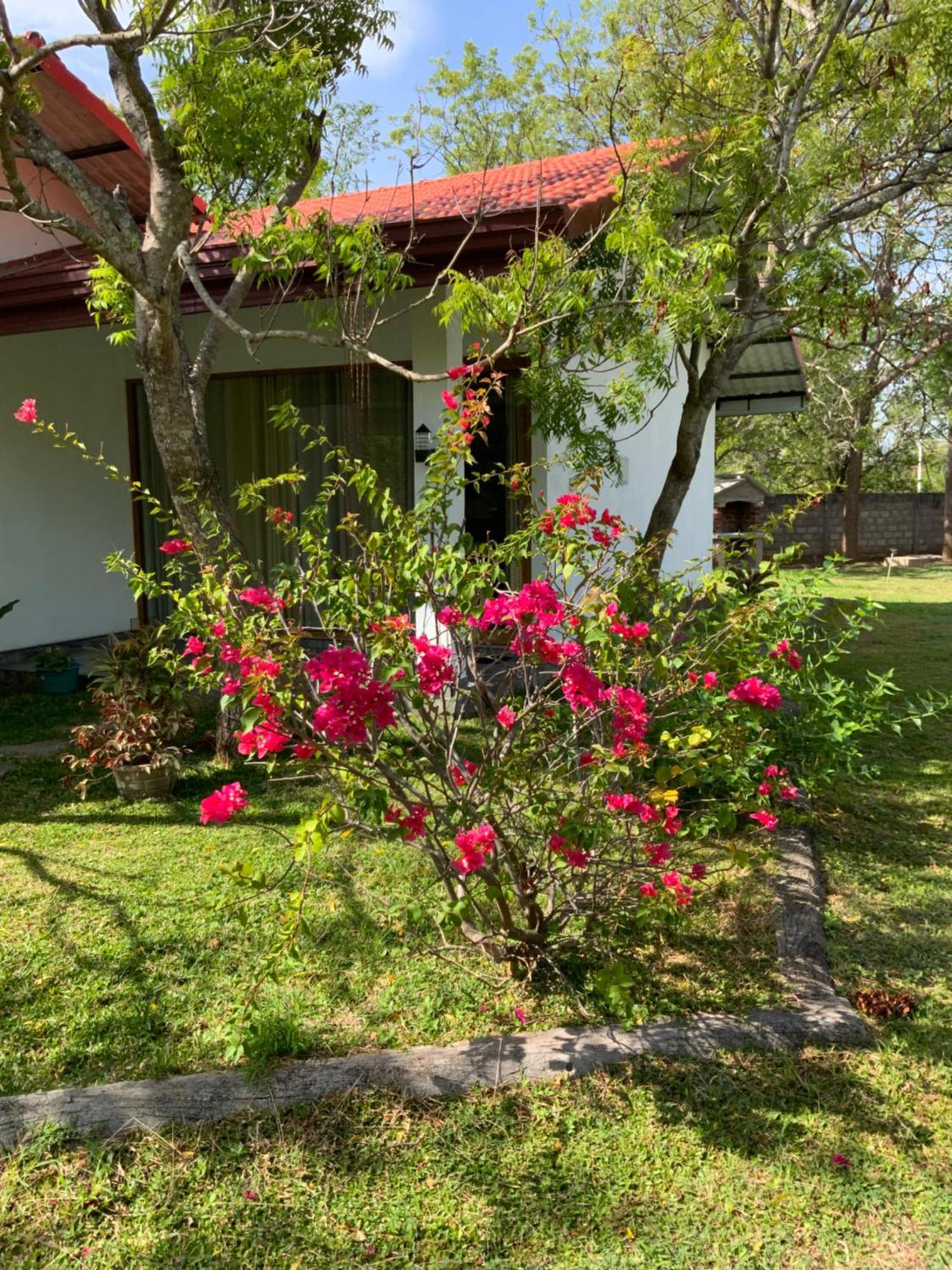 Nature Resort Polonnaruva Kültér fotó