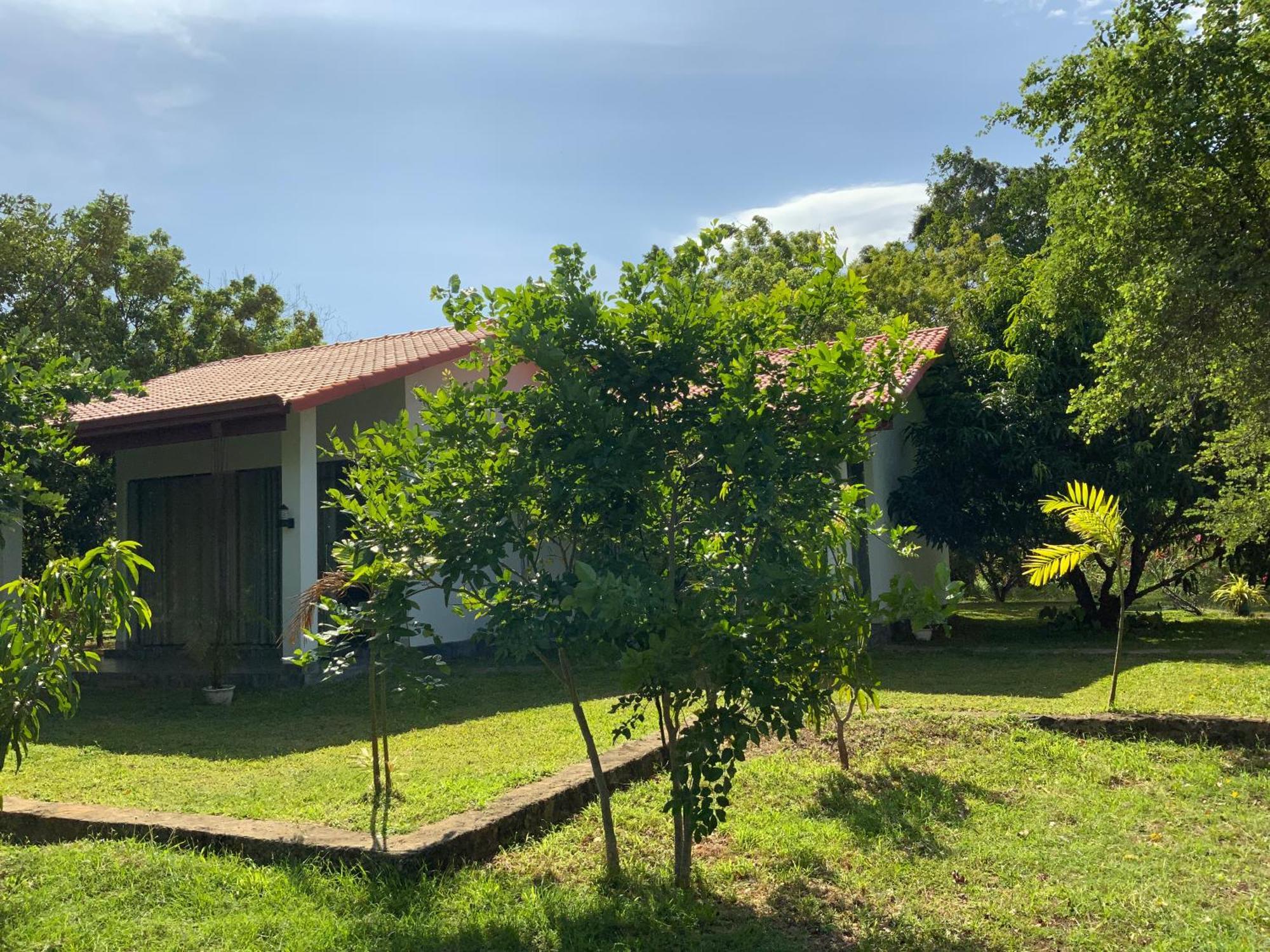 Nature Resort Polonnaruva Kültér fotó